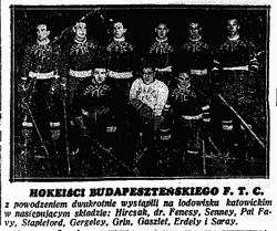 Ferencvárosi TC, International Hockey Wiki